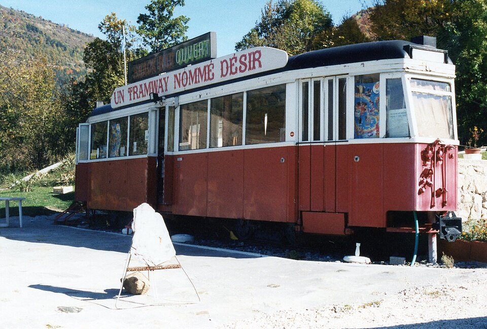 Trams de Genève (France) (5406615337)