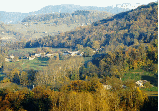 VOISSANT
