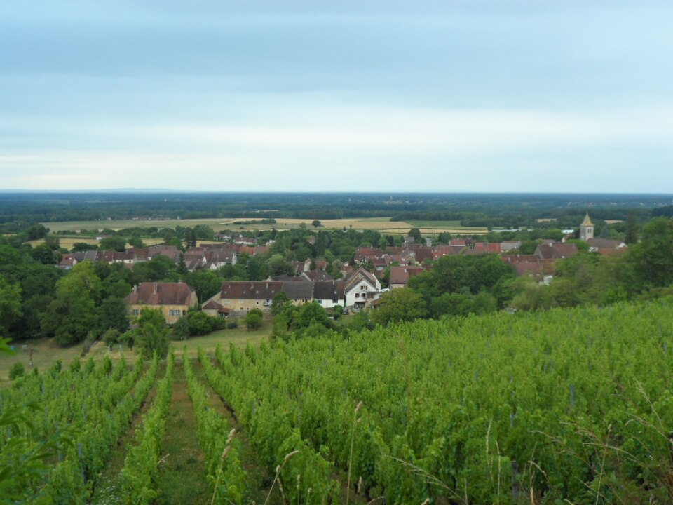 Cesancey vue du haut