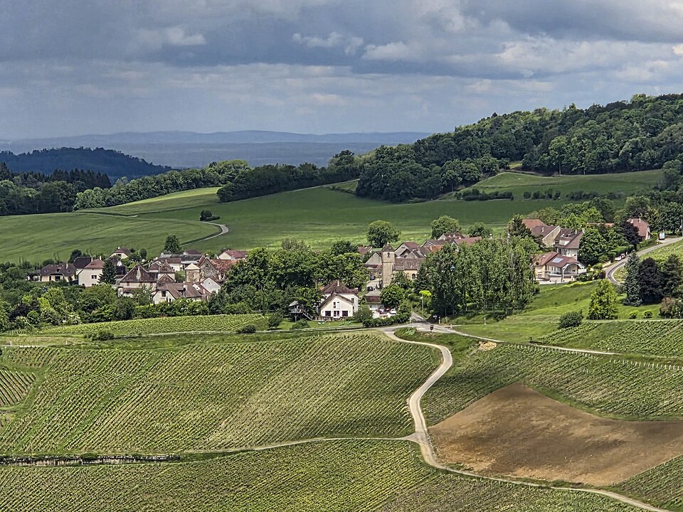Menétru — le — Vignoble, vue générale depuis Château — Chalon