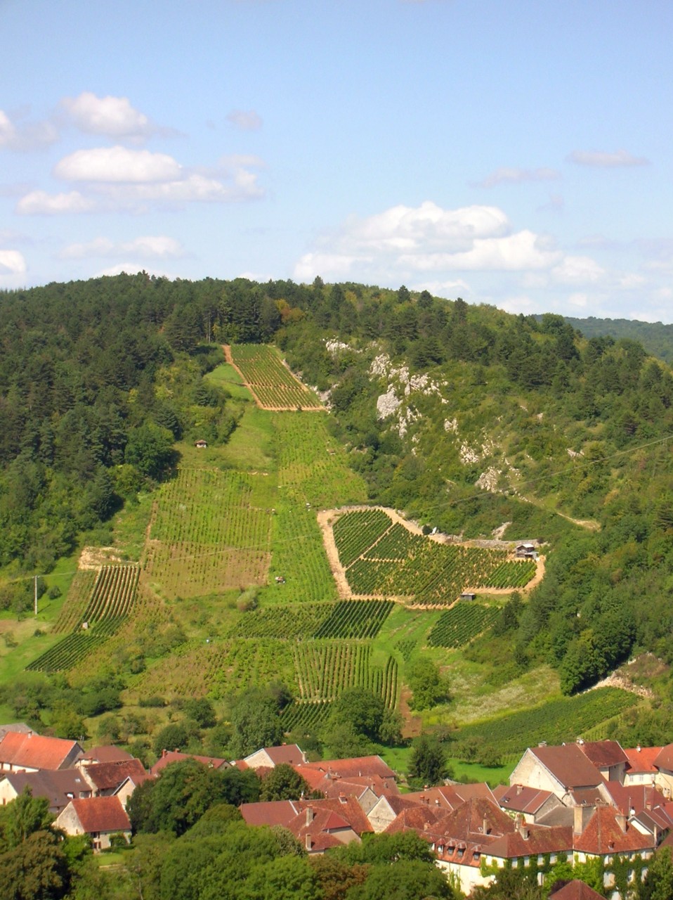 PortLesneyBauquet