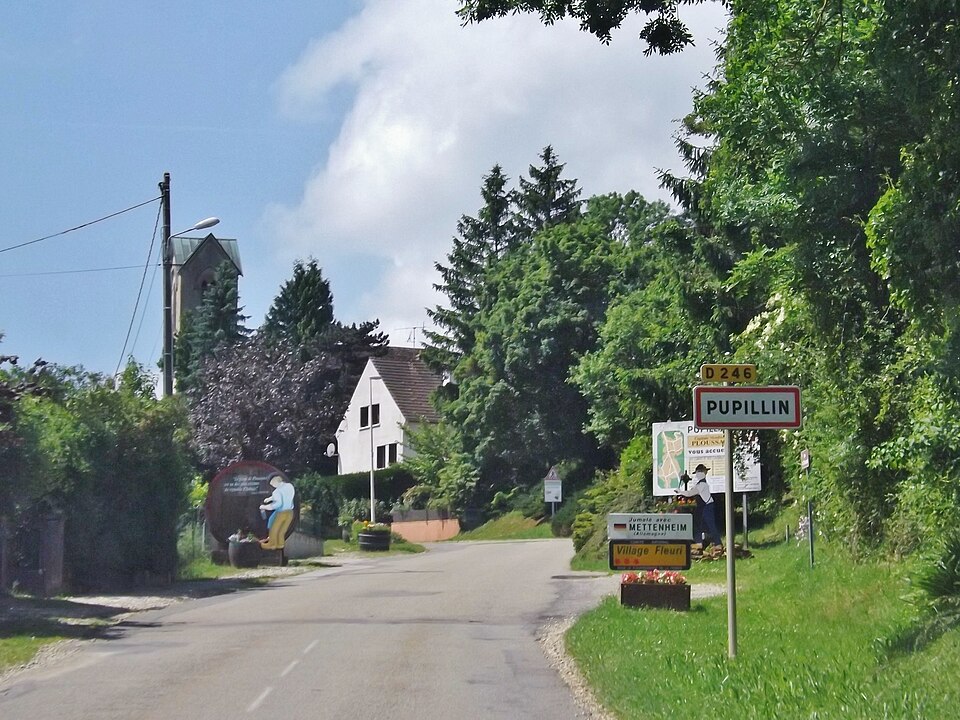 Pupillin (panneau)