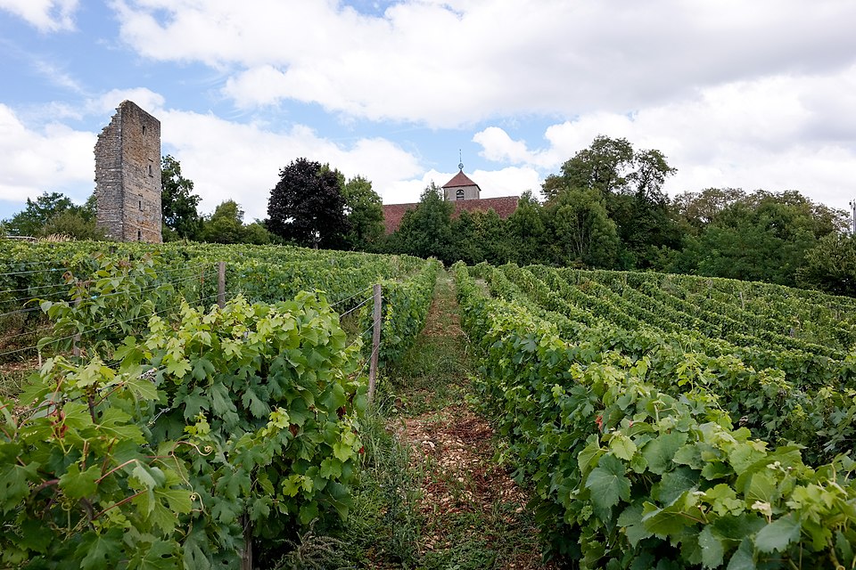 Toulouse — le — Château