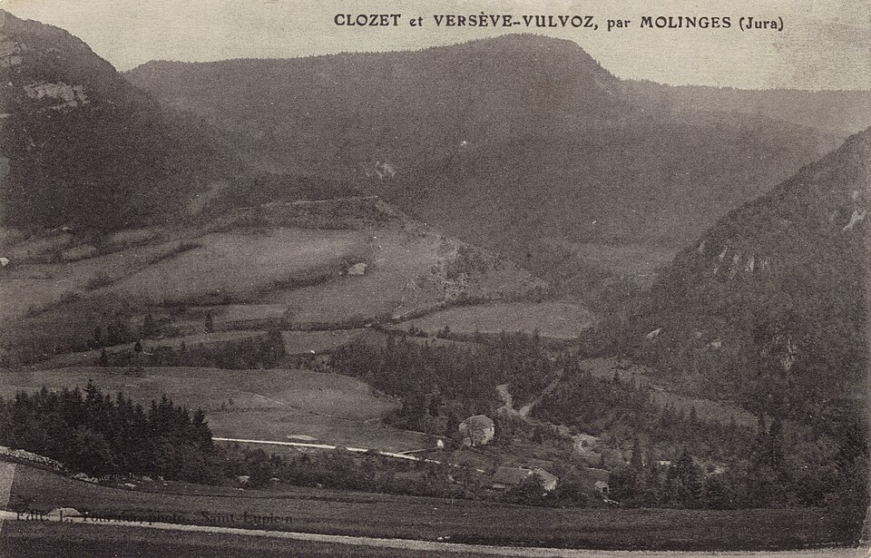 Vulvoz ancien