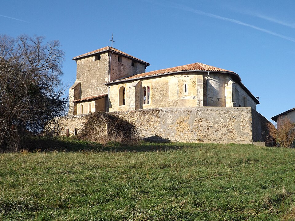 Gleisa verguei 40250
