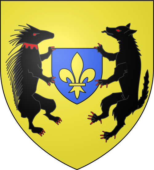 Blason de Blois