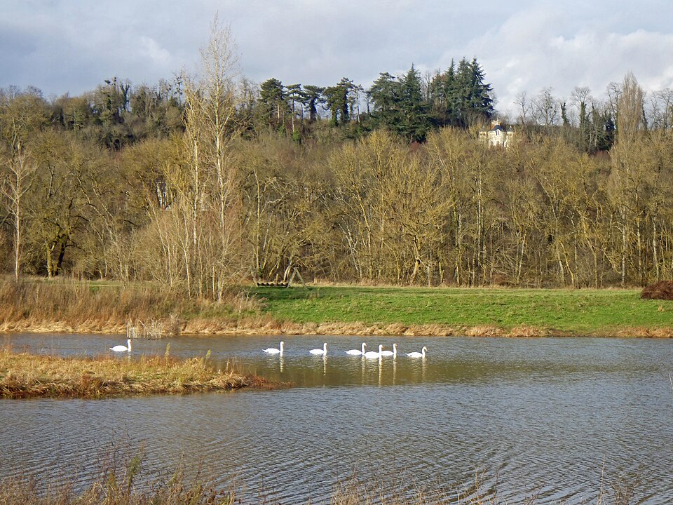 Etang des Chariots Saint — Julien — de — Chédon