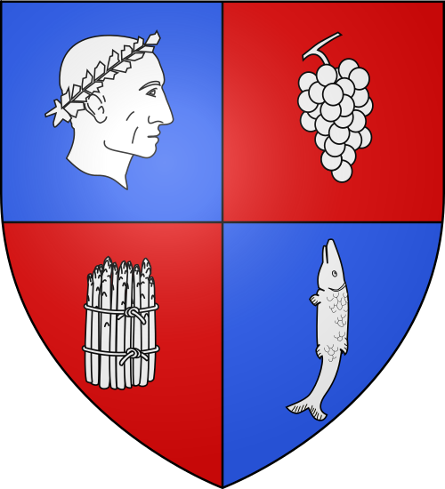 Blason de Soings-en-Sologne