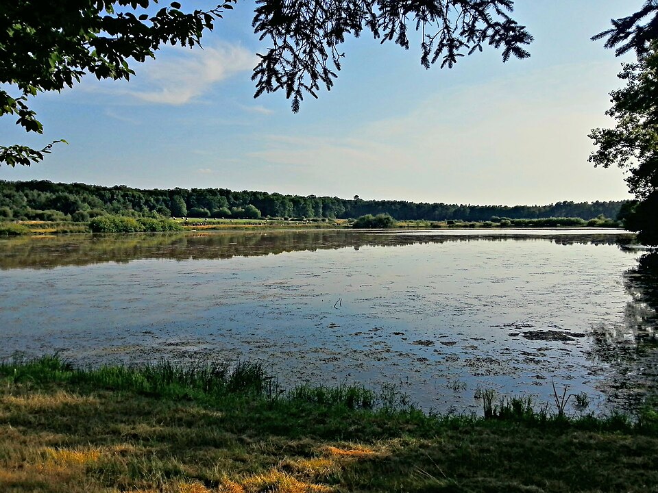 Etangs de La Pleure — panoramio