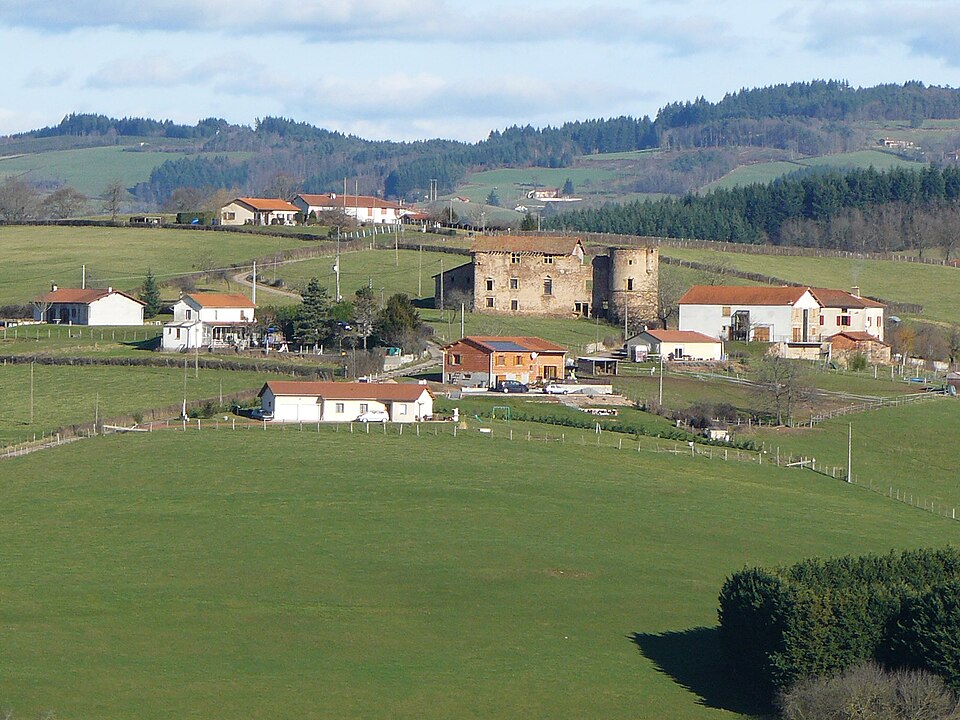 Jarnosse, le château