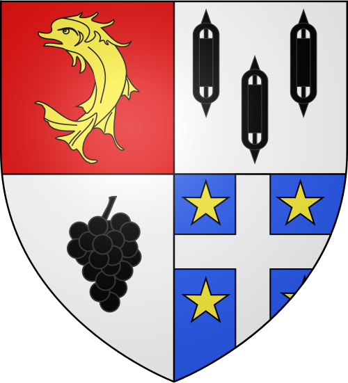 Blason de Néronde