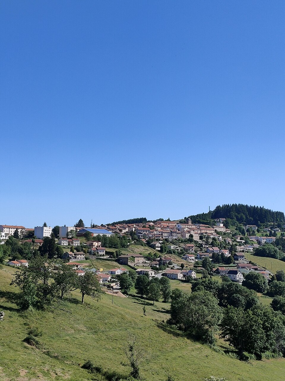 Vue du village de Violay (3)