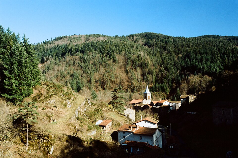 98420018Saint Didier sur Doulon