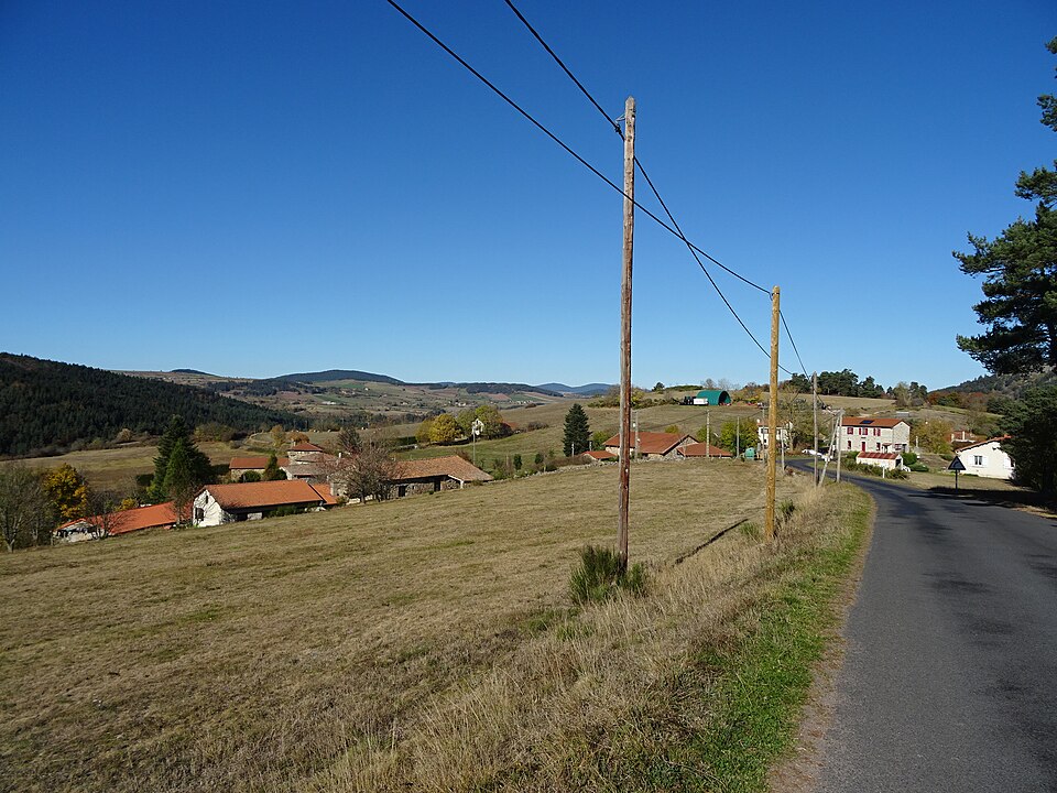 Vielprat 1