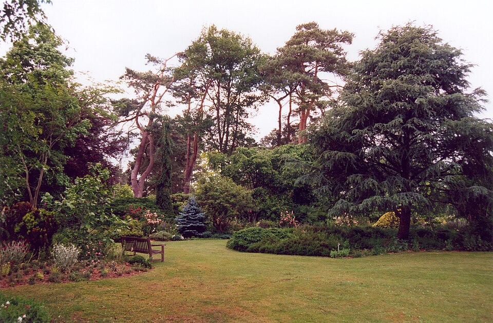 Image — France Loiret Ingrannes Arboretum 02