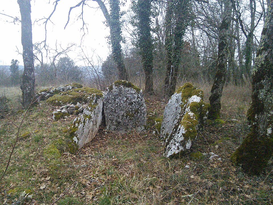 Dolmen de Cartayroux