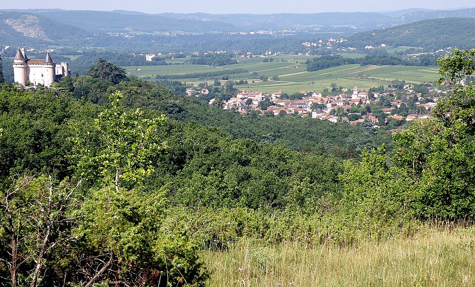 Mercuès Vue générale2