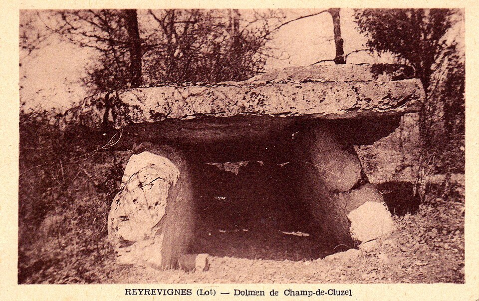 Dlm reyrevignes