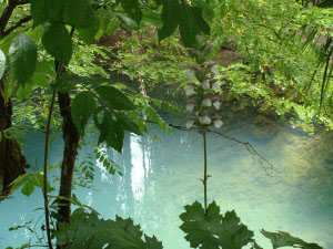 Source Bleue (Touzac)