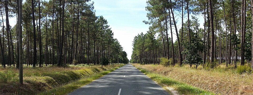 80km de route de ce genre dans les Landes — panoramio
