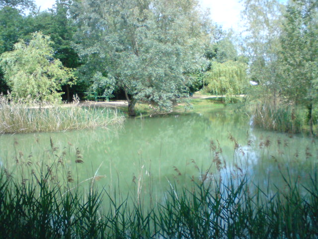 Foulayronnes02
