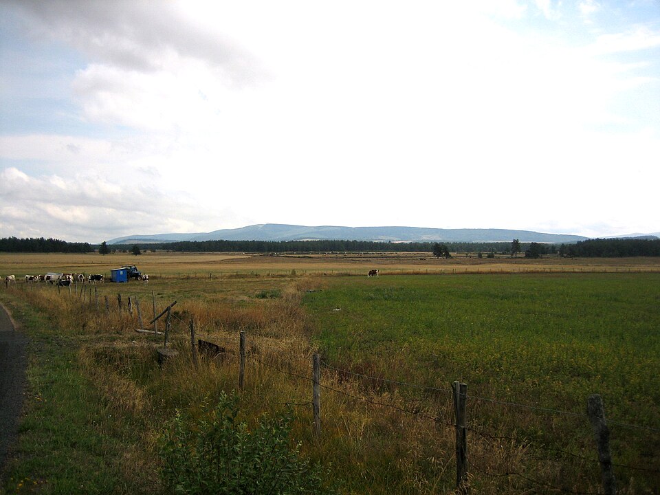 Plana de montbèl