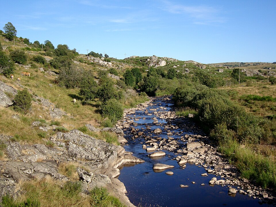 Bes recoules d'aubrac