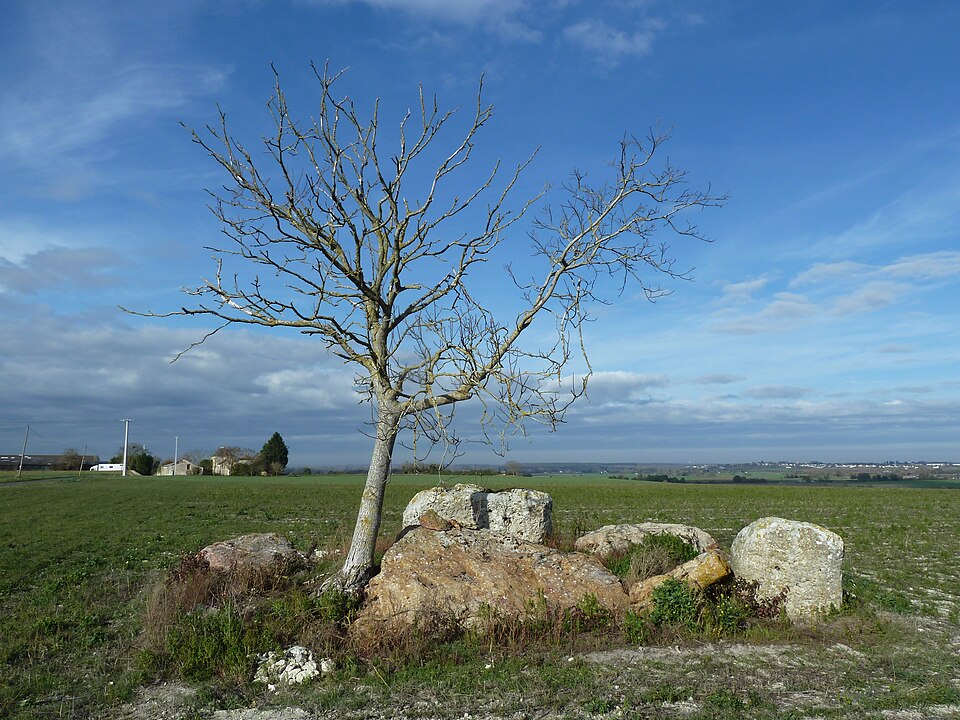 Dolmen du Griffier 1 — Antoigné — 20111120