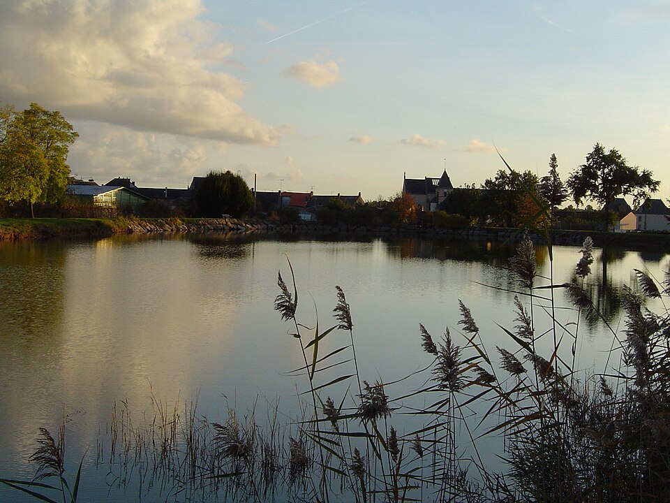 Etang des Cerqueux