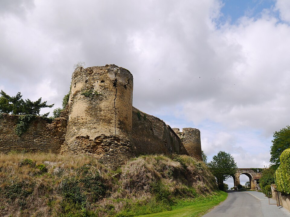 49 Passavant — sur — Layon château