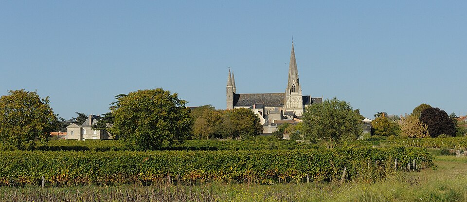 L'Eglise du Puy — Notre — Dame dans le vignoble. DSC 1889