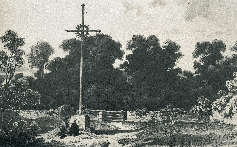 Forêt de Vezins Tom Drake
