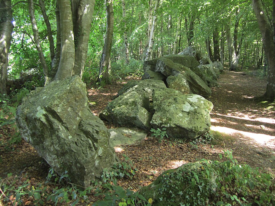 Allée couverte de la petite Roche (2)