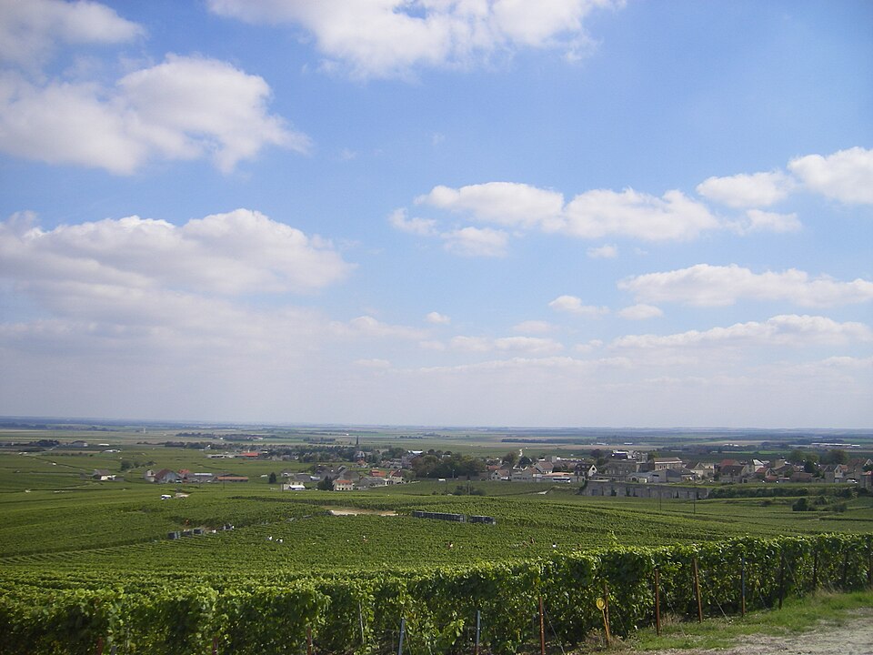 FR — 51 — Avize3