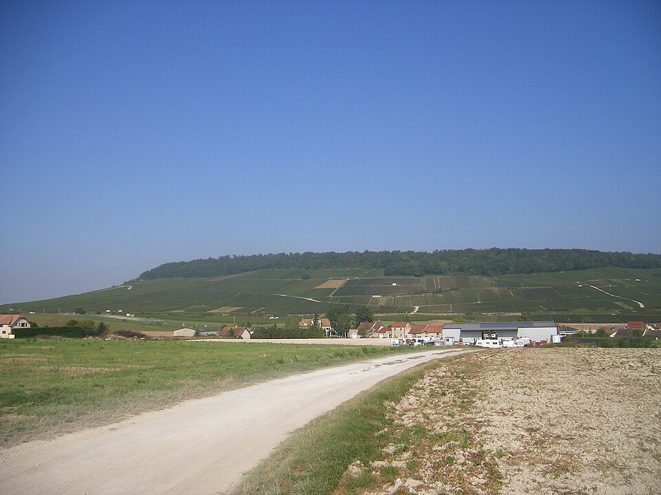 FR — 51 — Landscape1