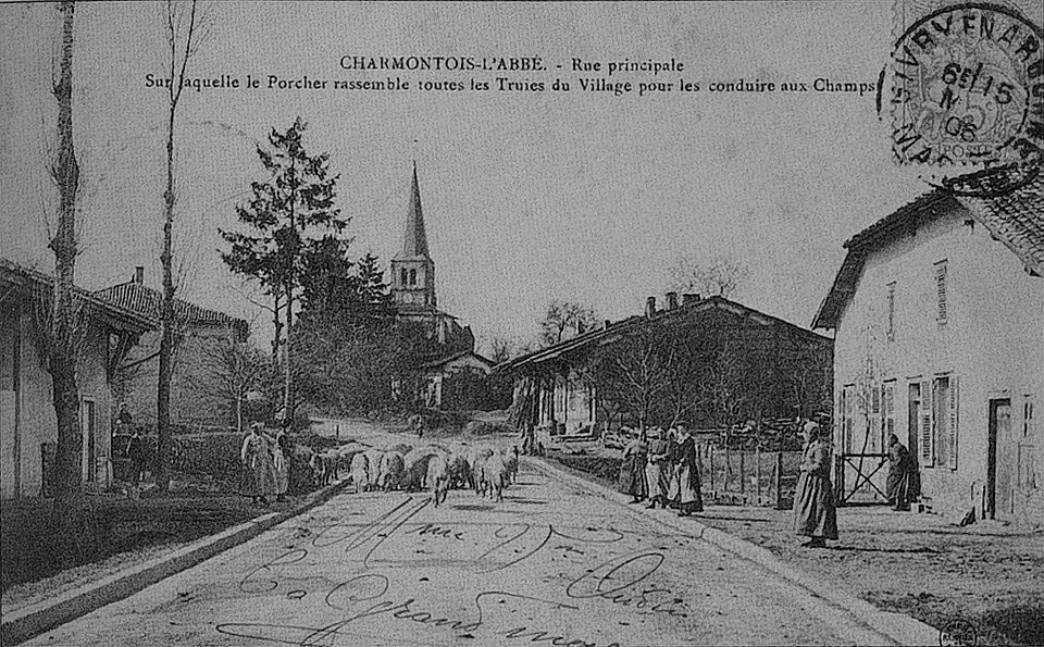 CP 07874 Charmontois l'abbé 1906