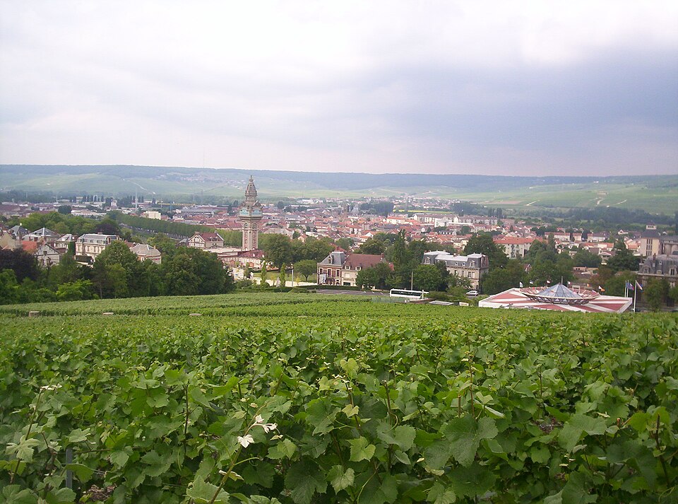 View of Épernay from Mont Bernon