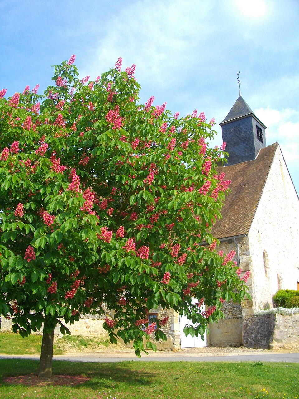 Eglise St — Michel de Les Essarts le Vicomte