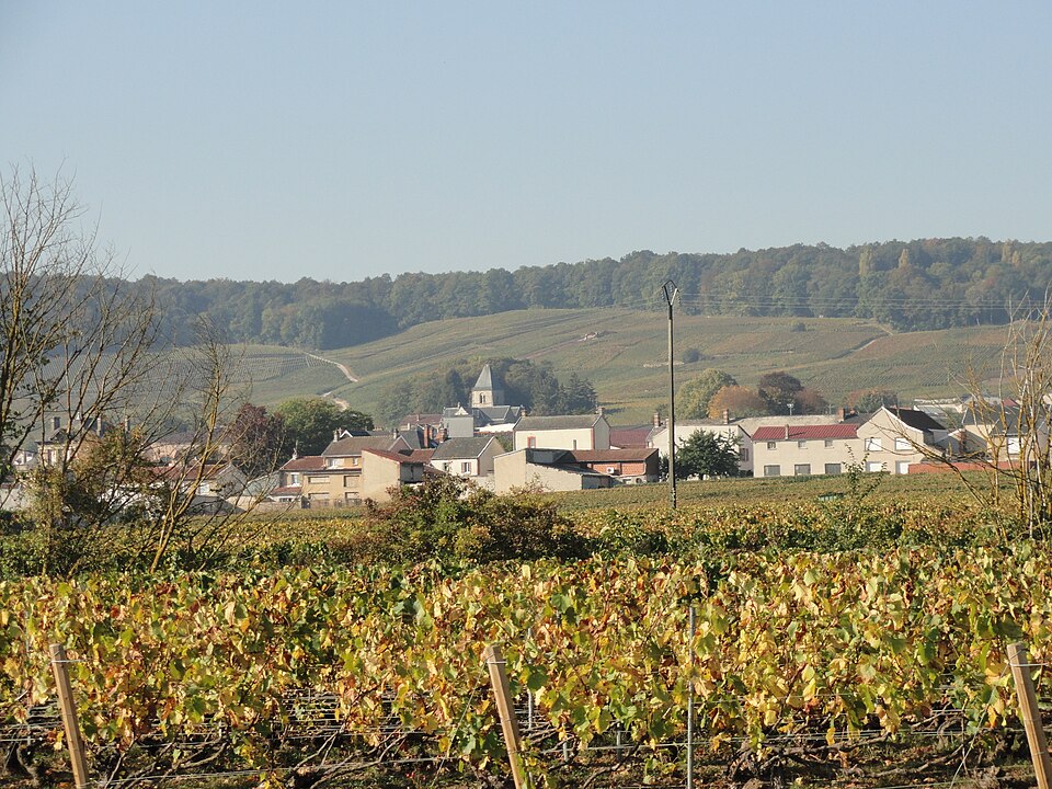 Mesnil — sur — Oger