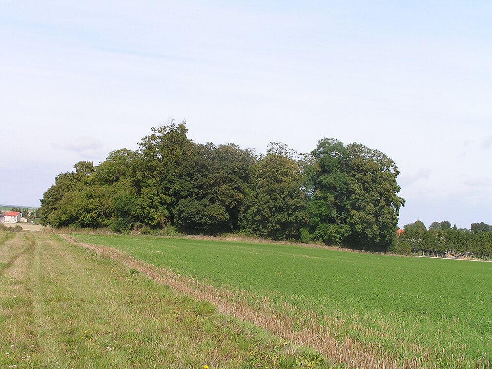 Tombeau de Théodoric (Poix)