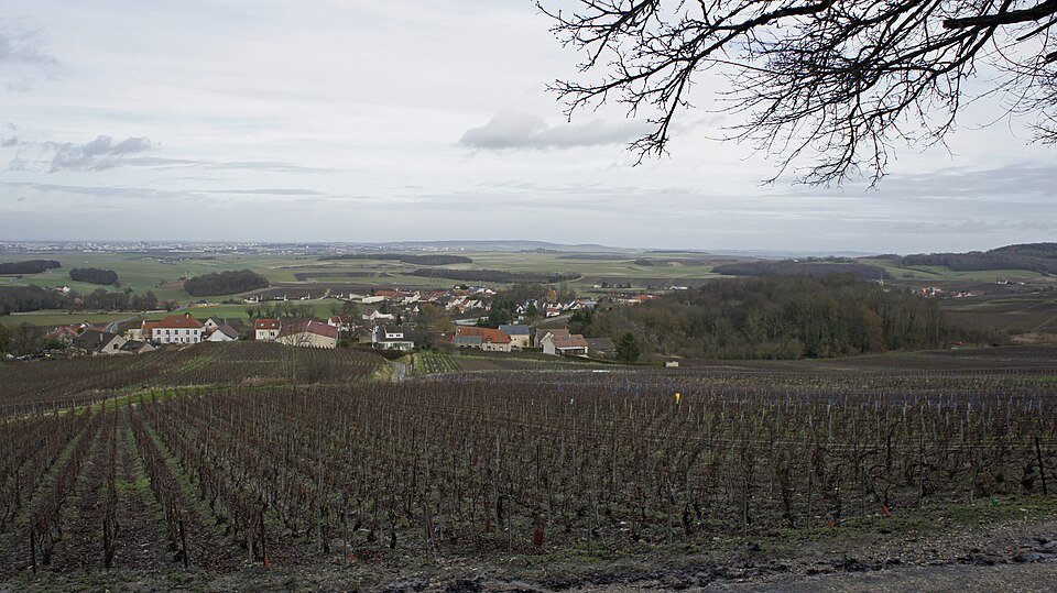 Sermiers vers Reims 9935