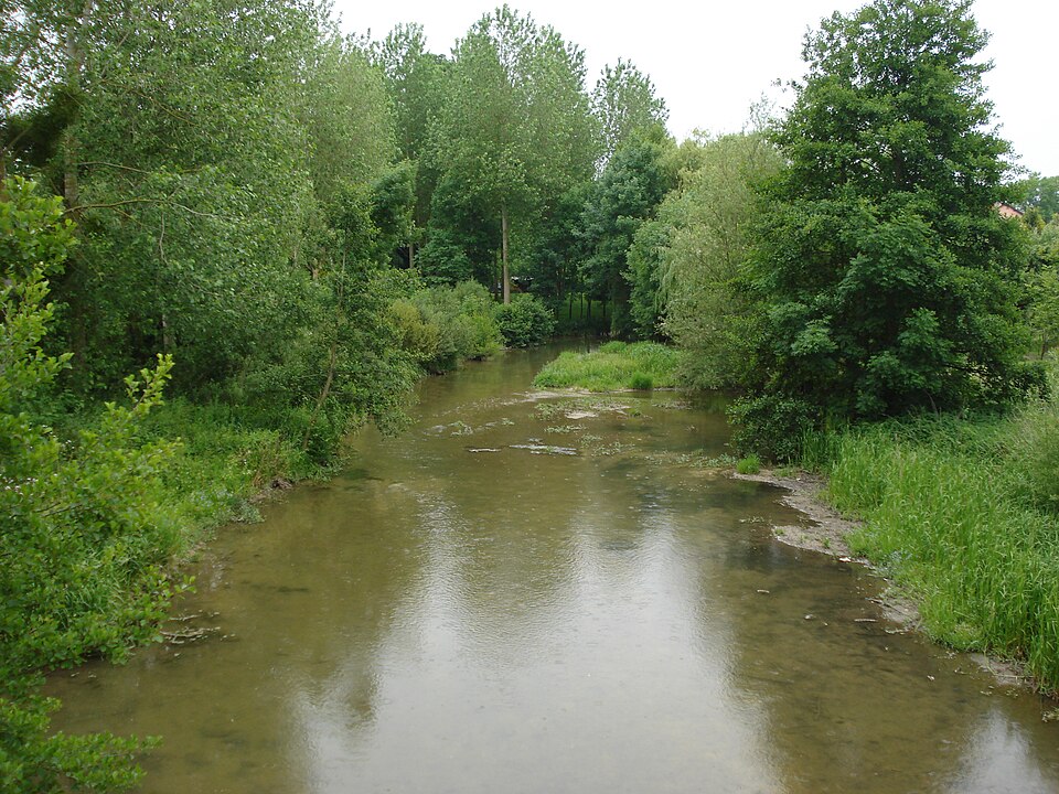 La Guenelle à Togny — aux — bœufs (Marne, Fr)
