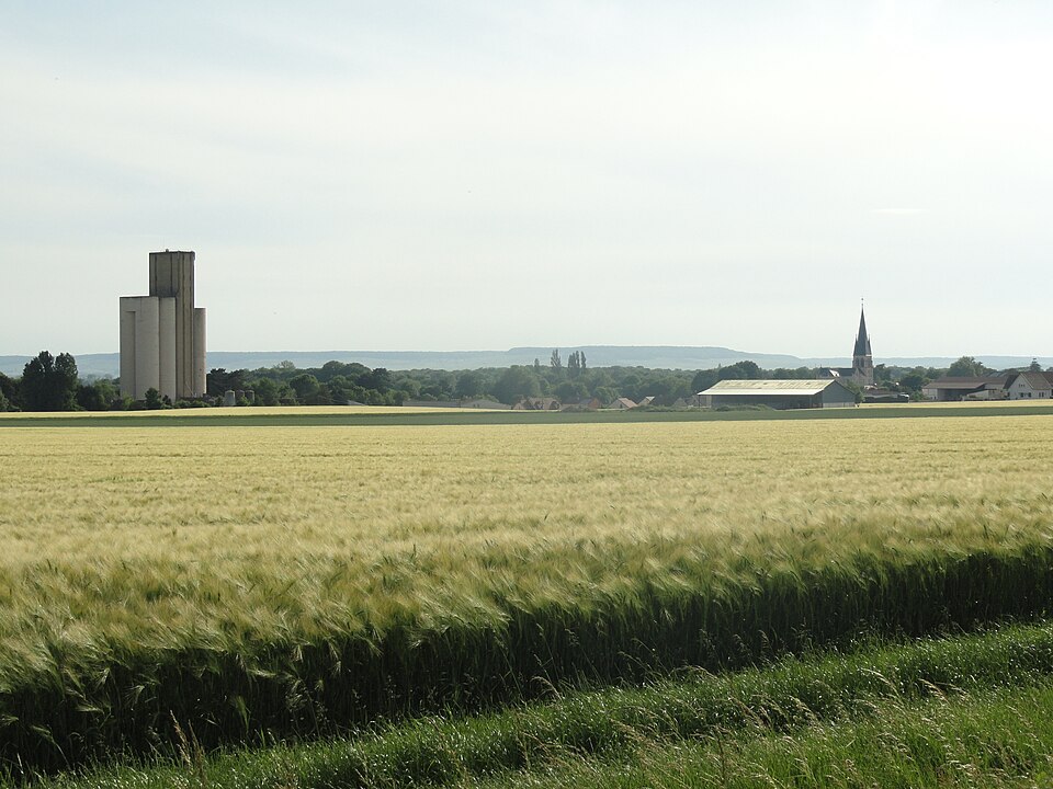 Tours — sur — Marne vue