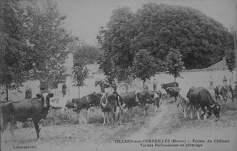 Villers aux Corneilles ferme du chateau 00105