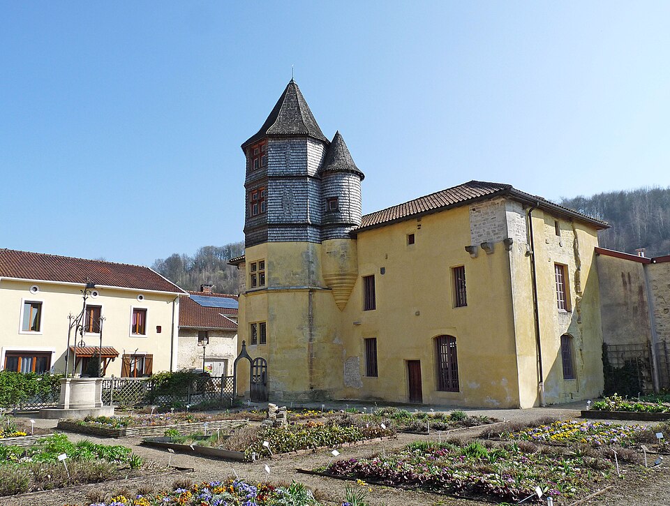 Chevillon (1)