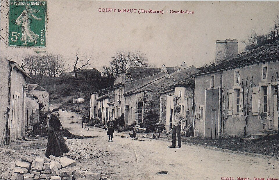 Coiffy le haut 73208