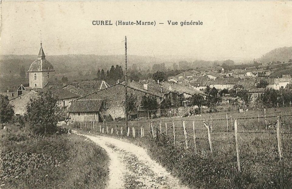 Curel Carte postale 10