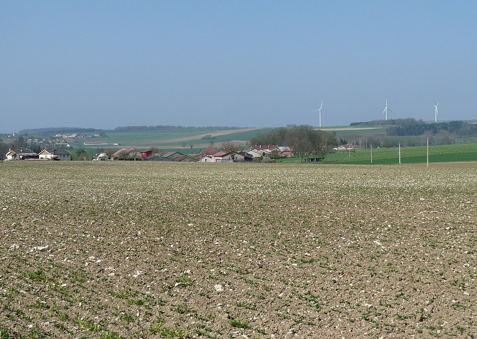 Echenay — Vue générale