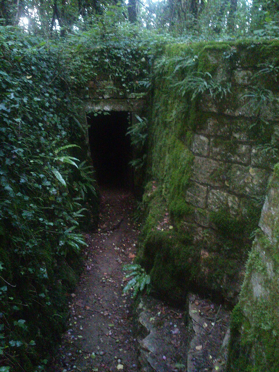 Fontaines Aqueduc Romain Châtelet