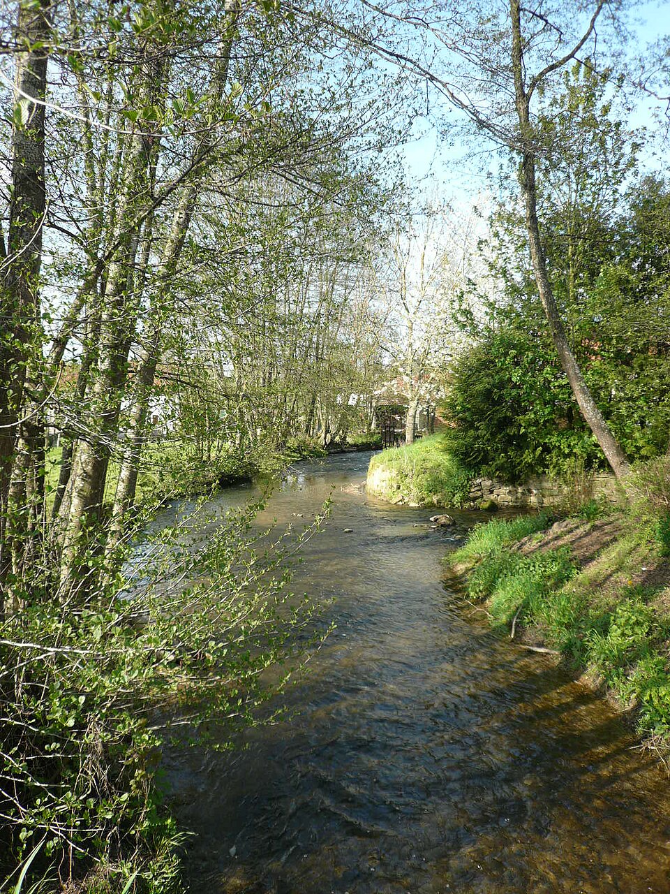 P1000293 Riviere La Mouche a Humes